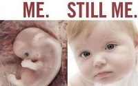 me_still_me-415x261.jpg